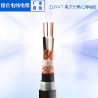 DJYPVP电子计算机电缆